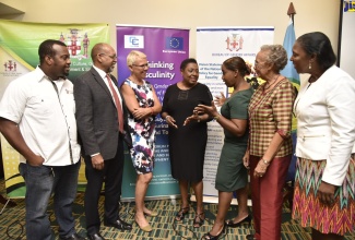 Minister of Culture, Gender, Entertainment and Sport, Hon. Olivia Grange (centre), shares a point with Deputy Programme Manager, Gender and Development, CARICOM Secretariat, Ann-Marie Williams (third left); at the opening of the Men and Masculinity Workshop on Thursday (September 26) at Courtyard by Marriott hotel in New Kingston. Others participating in the discussion (from left) are President, Men of God Against Violence and Abuse, Rev. Jayson Downer; President, Caribbean Male Action Network, Dr. Peter Weller; Head of the European Union Delegation to Jamaica, Ambassador Malgorzata Wasilewska; Professor Emerita, University of the West Indies (UWI), Barbara Bailey; and Director, Bureau of Gender Affairs, Sharon Robinson. 