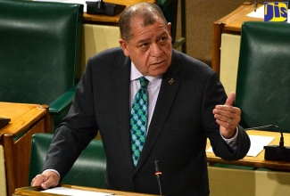 Minister of Industry, Commerce, Agriculture and Fisheries, Hon. Audley Shaw, addresses the House of Representatives on October 8.