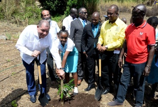 Industry, Commerce, Agriculture and Fisheries Minister, Hon. Audley Shaw (left), and student of Christiana High School in Manchester, Vanessa Plummer,  plant a Lychee Tree during this year’s World Food Day National Exhibition at the institution on October 11. The event was staged by the Ministry in collaboration with the United Nations Food and Agriculture Organization (FAO) to mark the Day, being officially observed on October 16 under the theme ‘Our Actions are Our Future: Healthy Diets for a #ZeroHunger World’. his year’s celebrations are aimed at heightening public awareness about the importance of healthy diets. Other participants include (from second left): Food and Agriculture Organization (FAO) Representative for Jamaica, Belize and The Bahamas, Dr Crispim Moreira; Custos Rotulorum for Manchester, Hon. Garfield Green; Permanent Secretary in the Ministry, Dermon Spence; Rural Agricultural Development Authority (RADA) Chief Executive Officer, Peter Thompson; and a representative of RADA.