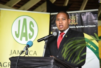 Minister of State in the Ministry of Industry, Commerce, Agriculture and Fisheries, Hon. Floyd Green, addressing the recent Eat Jamaican Day exposition on the lawns of Devon House in St. Andrew. 