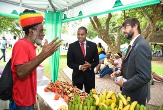 Minister of State in the Ministry of Industry, Commerce, Agriculture and Fisheries, Hon. Floyd Green (centre); and Ambassador of Argentina to Jamaica, His Excellency Luis Del Solar (right), engage with Cedric Hussey of the Mount Charles branch of the Jamaica Agricultural Society (JAS), at the Eat Jamaican Day exposition on the lawns of Devon House in St. Andrew on November 25.