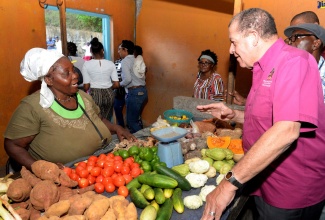 Minister of Industry, Commerce, Agriculture and Fisheries,  Hon. Audley Shaw (right), views  produce on the stall of Joy Boman (left), at the Chapelton Market, Clarendon, on November 22, following the Farmers’ Market opening ceremony. The Clarendon Municipal Corporation hosted the Farmers’ Market as part of Local Government and Community Development Month celebrations. The aim of the Farmers’ Market is to revitalise the Chapelton Market space.