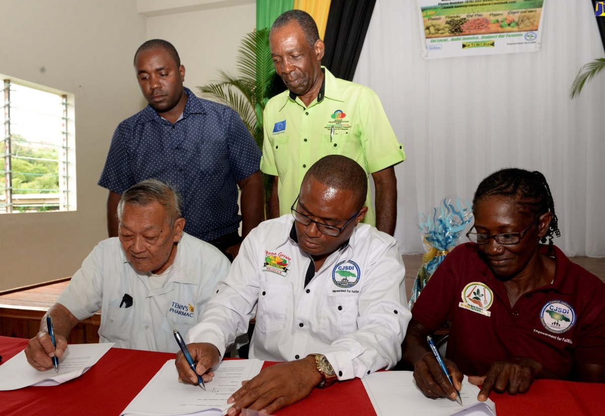 St. Catherine farmer, Alfred Tenn (left);  CEO of  Home Grown Produce Limited, Damion Young (centre) and St. Elizabeth farmer,  Melody Garwood, sign contract for the planting of more red peas, at the launch of the Red Peas Industry Programme,  in Spaldings, Clarendon, on November 1. Observing are Chief Agronomist at Bodles Research Centre, Alexi Reid (left) and Minister without Portfolio in the Ministry of Industry, Commerce, Agriculture and Fisheries, Hon. J.C. Hutchinson.