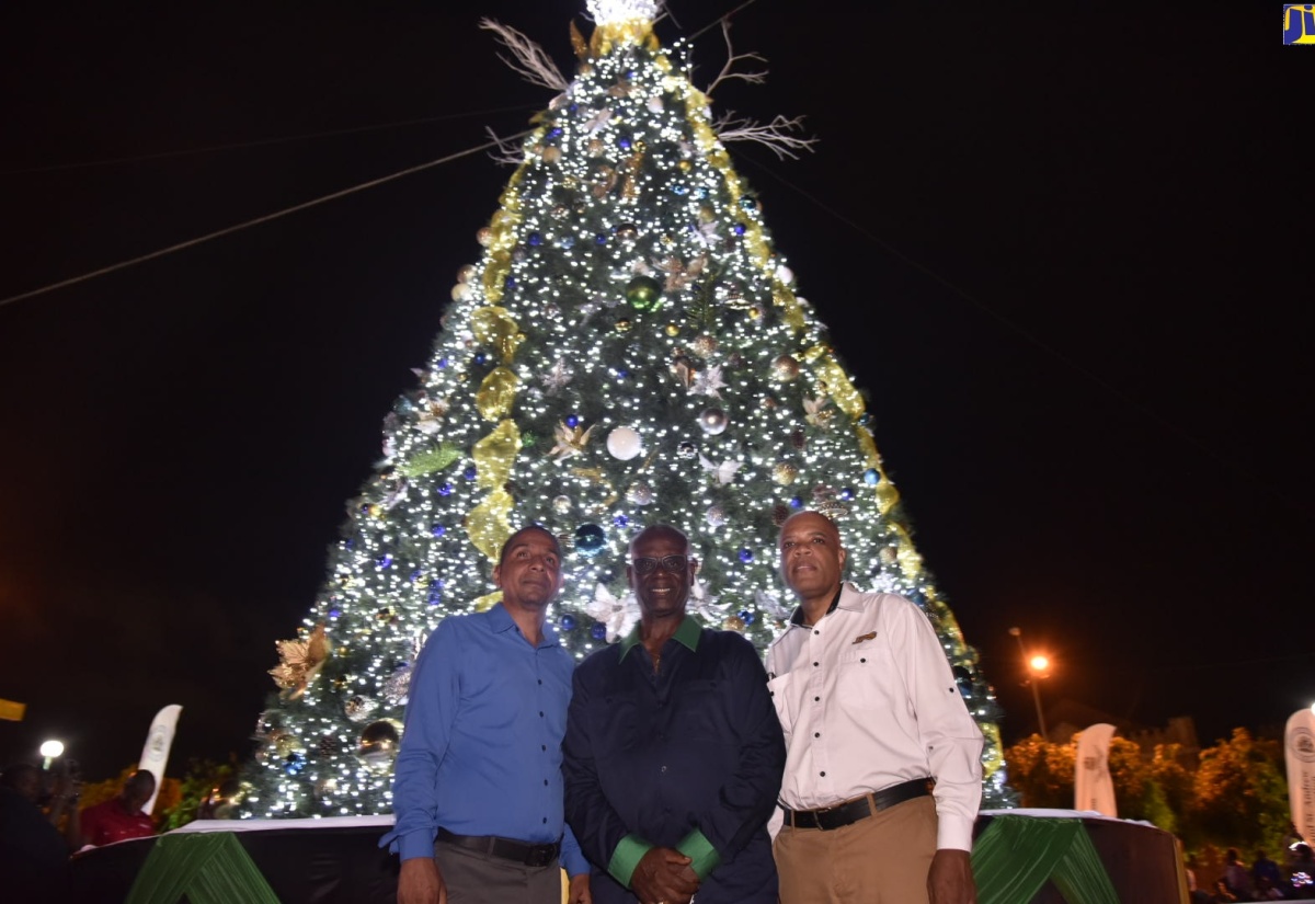 PHOTOS: Tree-Lighting Ceremony St. William Grant Park