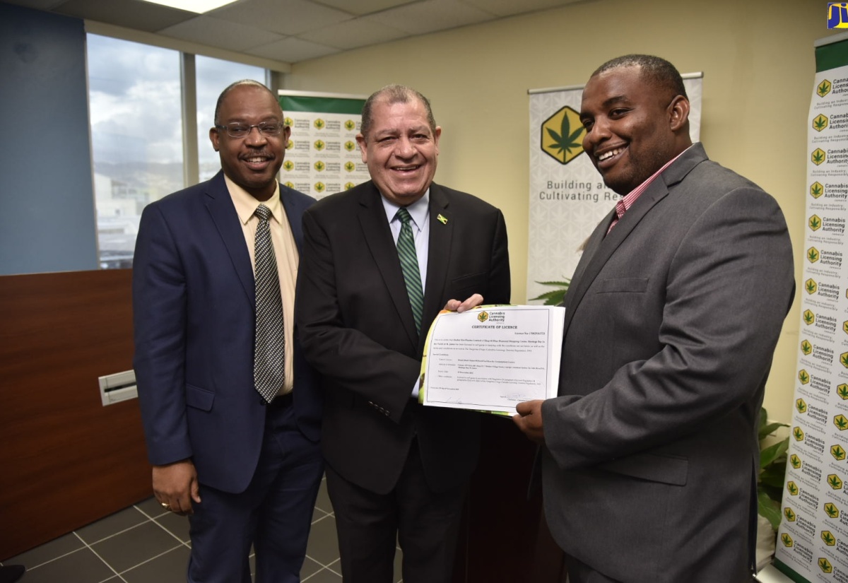 Minister of Industry, Commerce, Agriculture and Fisheries, Hon. Audley Shaw (centre), hands over the Cannabis Licensing Authority's (CLA) 50th licence for operations in the local medical cannabis industry to Director of Outlier Biopharma Limited, Brian Thelwell (right), on Wednesday (December 4), at the CLA's New Kingston offices. Sharing in the moment is Chief Executive Officer, CLA, Lincoln Allen. 