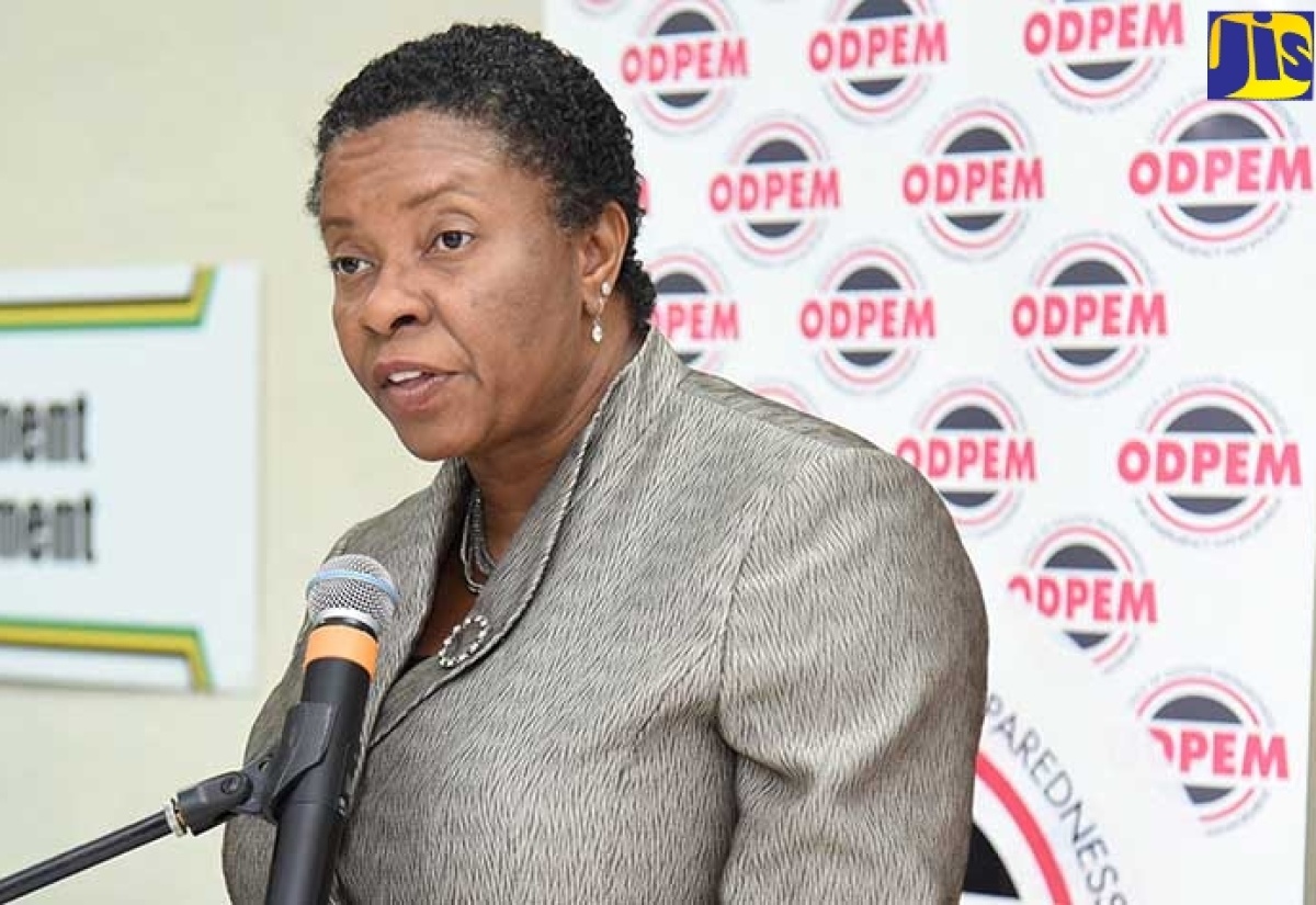 ODPEM To Train MSMEs In Business Continuity Planning