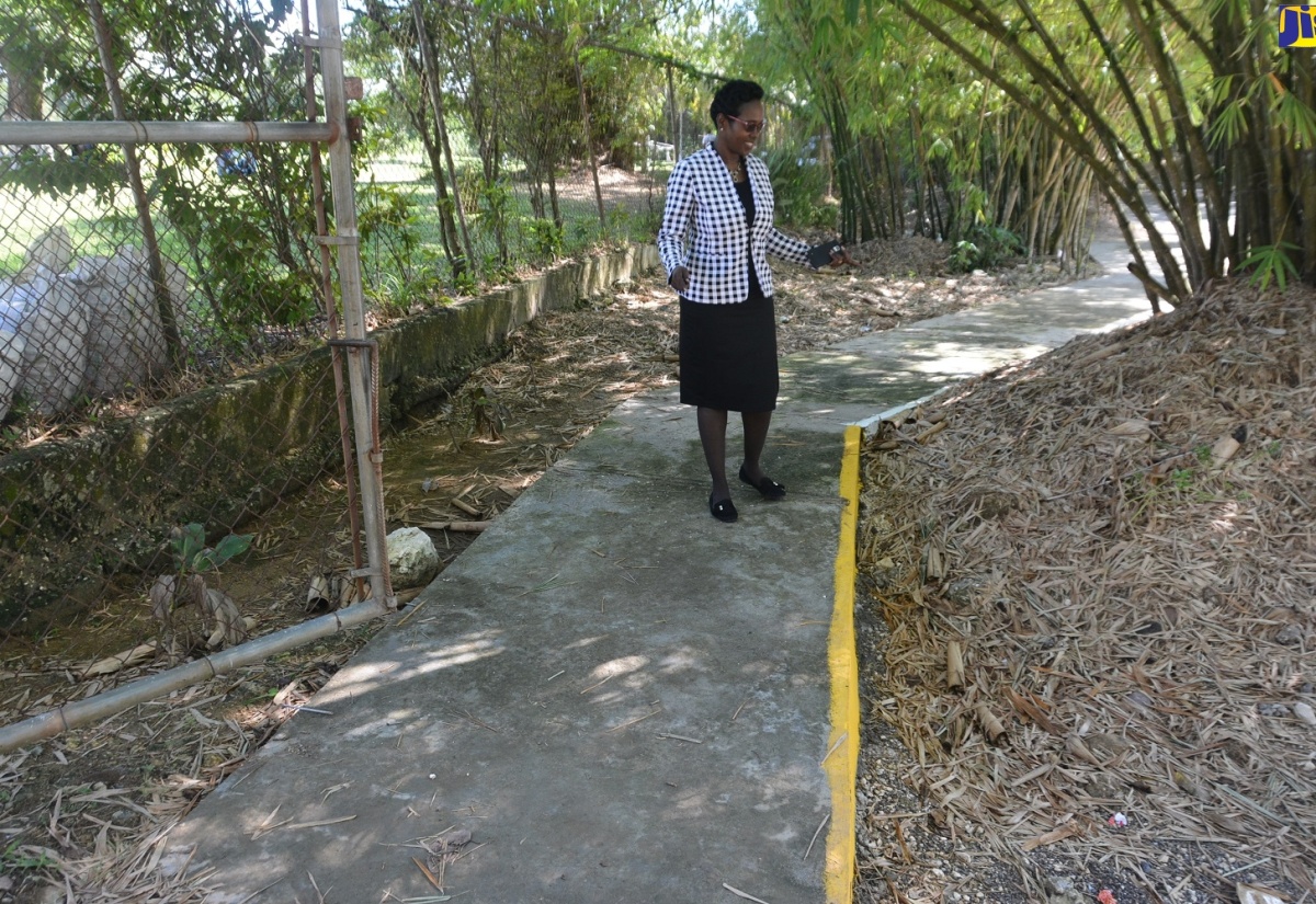 More Protection For Children Along Holland Bamboo Avenue