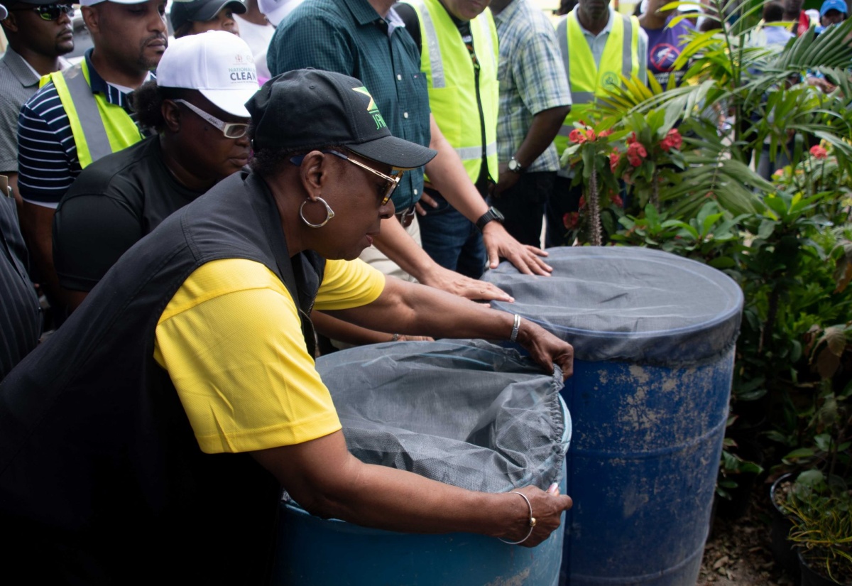 Grange: Fight Against Mosquitoes Will Continue After 3-Day Clean Up