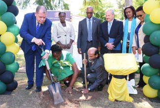 Minister of Industry, Commerce, Agriculture and Fisheries, Hon. Audley Shaw (left)  plants an East Indian mango tree with the help of the Jamaica 4-H Clubs Kingston Girl of the Year, Deja-Nai Grant (foreground, second left) and Food and Agriculture Representative to Jamaica, The Bahamas, and Belize, Dr. Crispim Moreira (foreground, right).  Occasion was the launch of the International Year of Plant Health (IYPH) at Hope Gardens, St. Andrew, on Wednesday (January 22).  Looking on (in background from left) are Chief Plant Quarantine and Produce Inspector in the Ministry, Sanniel Wilson-Graham; Deputy Programme Manager, CARICOM Secretariat, Dr. Richard Blair; Chairman of the Caribbean Plant Health Directors Forum, Brian Crichlow; Caribbean Agricultural Research and Development Institute (CARDI) Representative in Jamaica, Dionne Clarke-Harris; and Inter-American Institute for Cooperation on Agriculture (IICA) representative in Jamaica, Dr. Elizabeth Johnson.