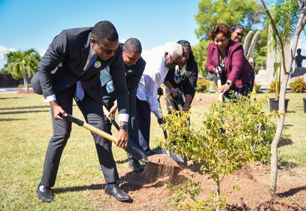 Thousands Of Trees Planted Islandwide
