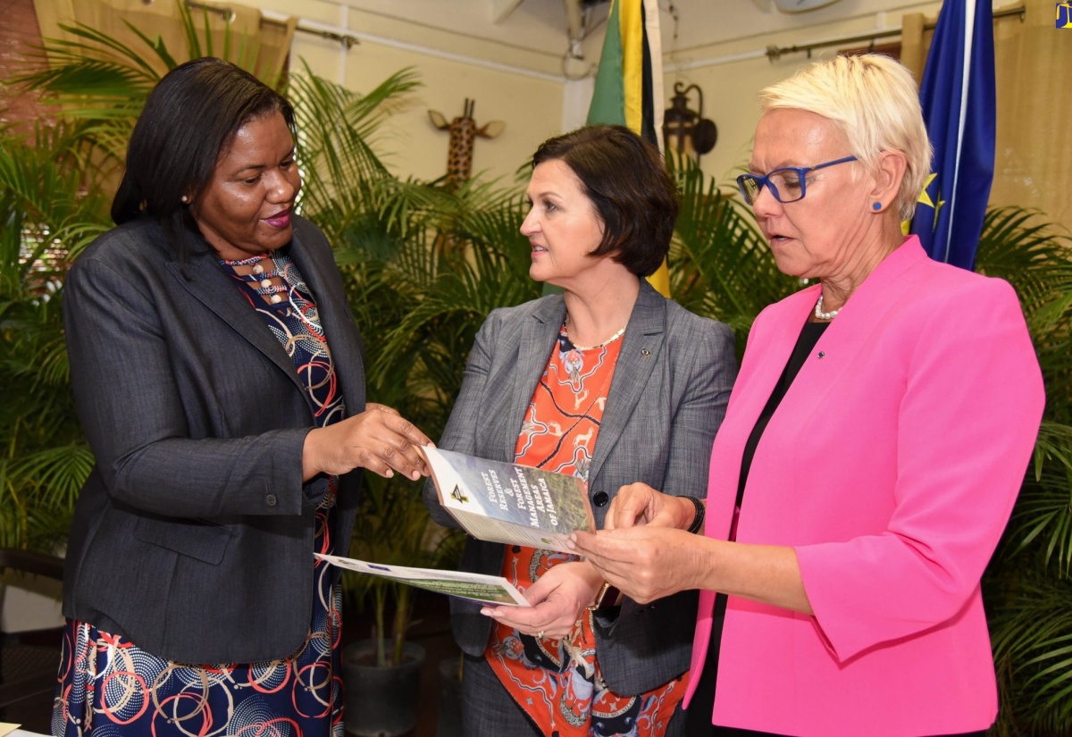 Forestry Department Receives Technical Assistance From EU