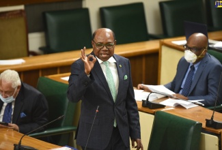 Tourism Minister, Hon. Edmund Bartlett, makes a point as he addresses the House of Representatives, on Tuesday (April 28). Seated at left is Minister without Portfolio in the Office of the Prime Minister, Hon. Mike Henry.