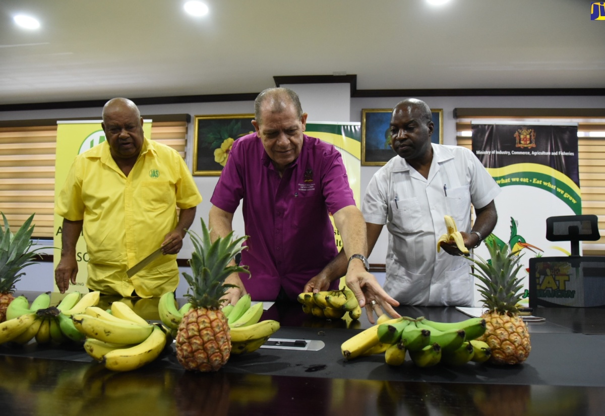 Minister Shaw Announces $100-Million Programme To Ramp Up Food Production