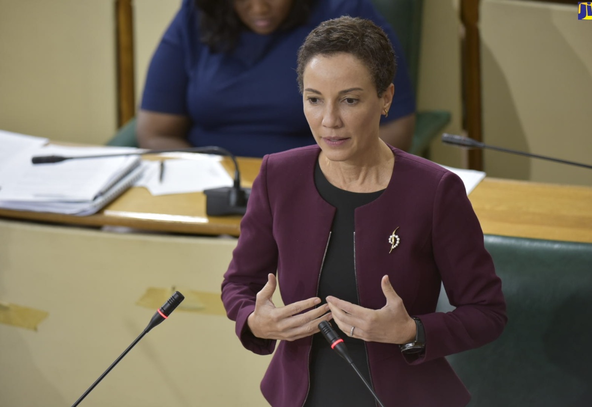 Senate Approves Extension Of Security Measures In Kingston Western And Central Police Divisions