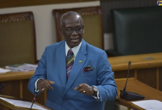 Minister of Local Government and Community Development, Hon. Desmond McKenzie, making his 2020/21 Sectoral Debate presentation in the House of Representatives on Tuesday (July 21), under the theme: ‘Building National Resilience through Continuous Investment in Local Government’.

