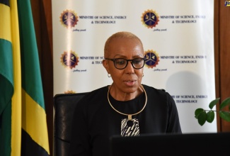 Minister of Science, Energy and Technology, Hon. Fayval Williams, speaks at a recent virtual Jamaica Information Service (JIS) ‘Think Tank’.

