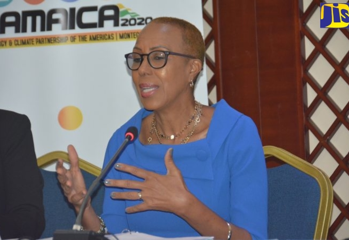 Jamaica Looking To Attract Investments To Supply Five-Year Energy Needs