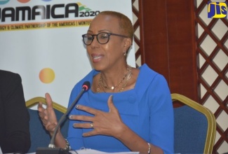 Science, Energy and Technology Minister, Hon. Fayval Williams.​
