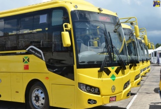 Some of the buses in the fleet of the Jamaica Urban Transit Company (JUTC).