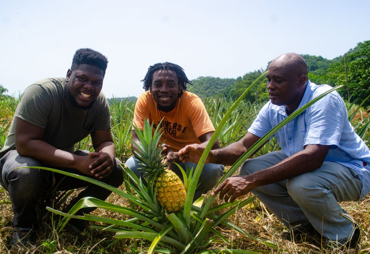 Friends operate successful farm