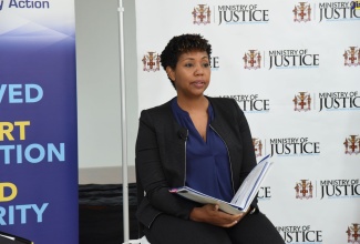 Child Diversion Consultant, Ruth Carey, speaks at a recent ​Ministry of Justice Virtual town hall.

