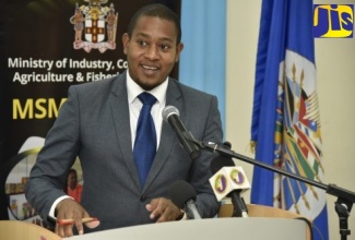 Minister of Agriculture and Fisheries, Hon. Floyd Green.
