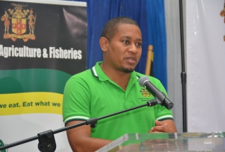 Minister of Agriculture and Fisheries, Hon. Floyd Green, addresses farmers during the Trelawny stop of the Ministry’s Listening Tour at the First Assembly of God Church in Falmouth on Saturday (October 24).

 