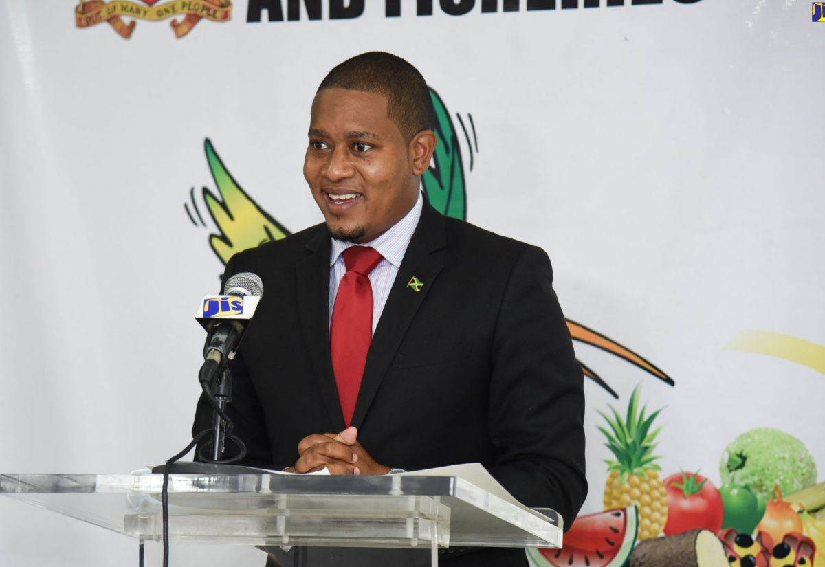 Ministry Launches Agricultural Aid Programme To Train Young Persons