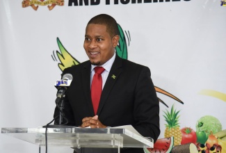 Minister of Agriculture and Fisheries, Hon. Floyd Green, addresses the virtual launch of the Government's $10-million Agricultural Aid Programme, today (November 17).