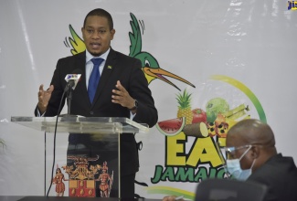 Minister of Agriculture and Fisheries, Hon. Floyd Green, addresses the 2020 virtual launch of ‘Eat Jamaican Month’, today (November 10).

 