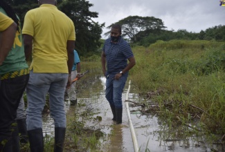 Minister of Agriculture and Fisheries, Hon. Floyd Green (right), inspects a flooded farm in the Bog Hole area of Clarendon, on November 4.