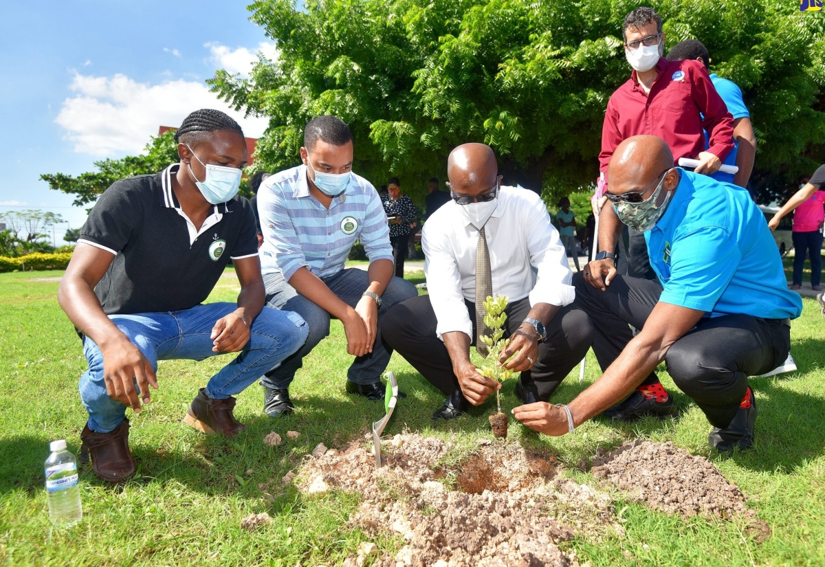 Food For The Poor Supports Three Million Trees Planting Initiative