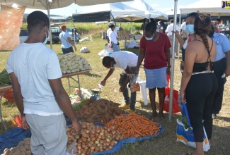 Customers purchase produce at the Social Development Commission's (SDC) community market and business fair held at Montego Park Estate in Ironshore, St. James, on Thursday (December 17).

 