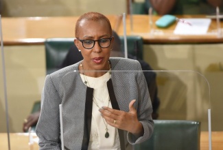 Minister of Education Youth and Information, Hon. Fayval Williams, speaking during the sitting of the House of Representatives on January 12.