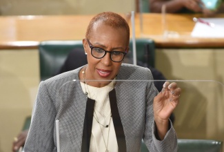 Minister of Education Youth and Information, Hon. Fayval Williams, speaking during Tuesday’s (January 12) sitting of the House of Representatives.

