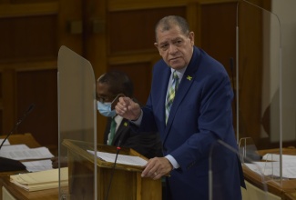 Minister of Industry, Investment and Commerce, Hon. Audley Shaw, speaks in the House of Representatives, on February 2.

