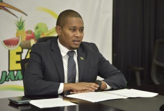 Minister of Agriculture and Fisheries, Hon. Floyd Green, addresses the virtual launch of the Skills to Access the Green Economy (SAGE) partnership on February  11.

