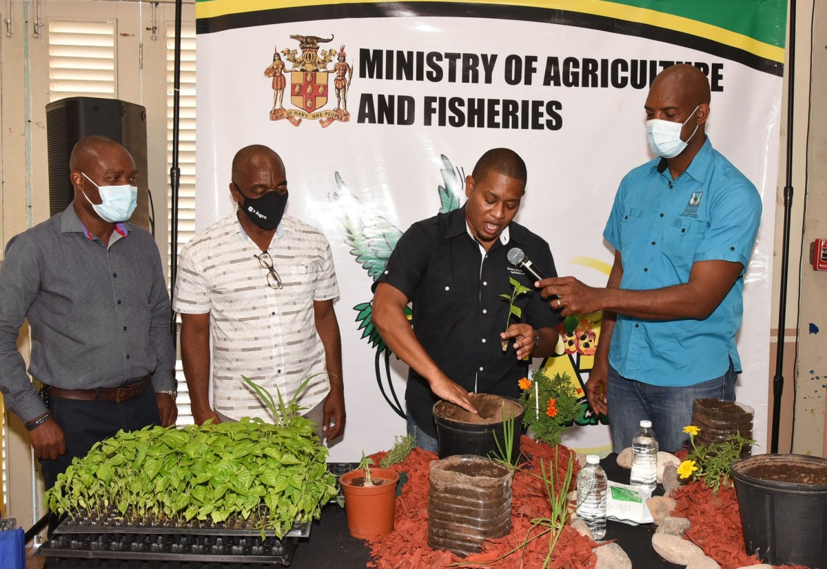 2,500 Households To Benefit From Backyard Garden Project