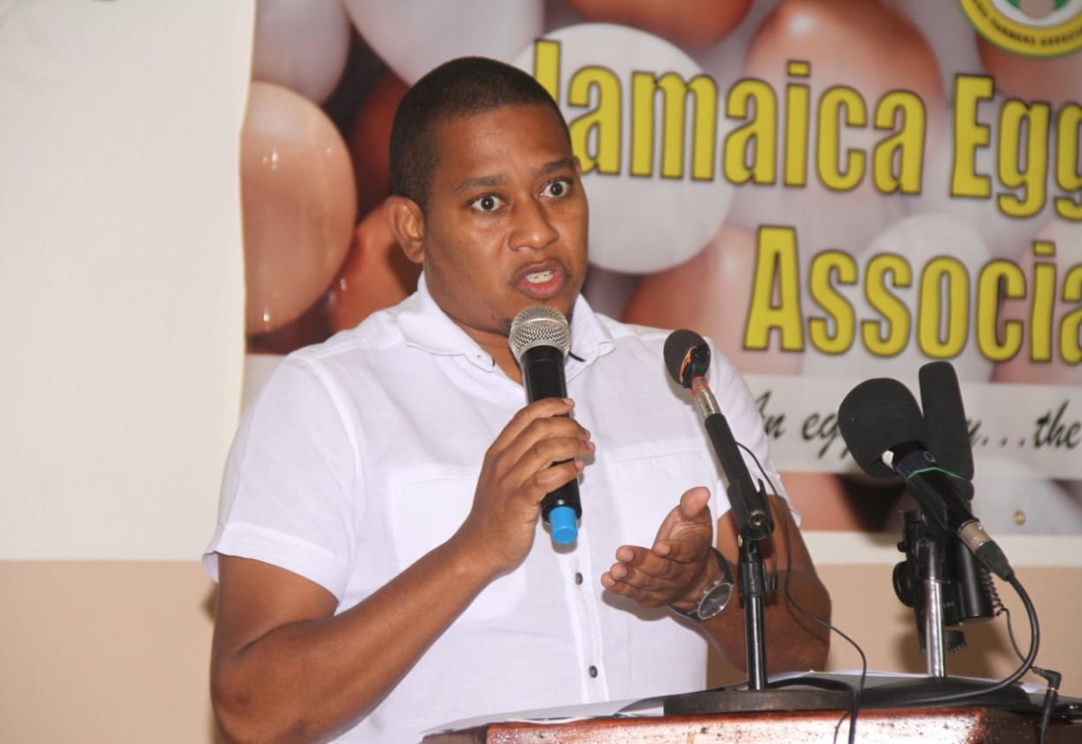 Agriculture Minister Lauds Egg Farmers On Resilience Against COVID-19
