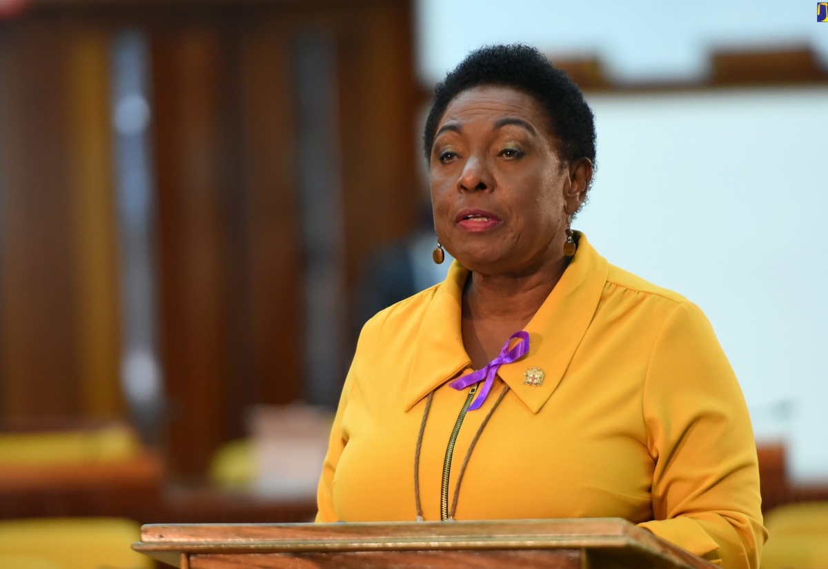 Minister Grange Sets Policy Framework for new Institute of Jamaica