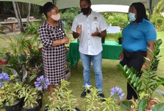 Minister of Agriculture and Fisheries, Hon. Floyd Green (centre), in discussion with (from left), Acting Superintendent of the Public Gardens Division, in the Agriculture Ministry, Shanae Marks Bryan; and  Nursery Supervisor at the Hope Botanical Gardens, Karen Fender. Occasion was the virtual staging of the Public Gardens Division’s Horticultural and Botanical Seminar, hosted at Hope Gardens in St. Andrew, on Friday (Feb. 26). The event was streamed live via the ZOOM video-conferencing platform.