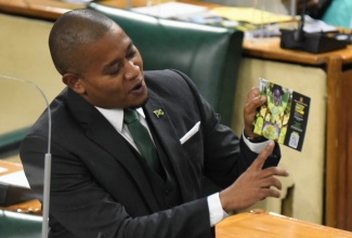 Agriculture and Fisheries Minister, Hon. Floyd Green, emphasises a point while addressing the House of Representatives during his 2021/22 Sectoral Debate presentation on Wednesday (May 12), under the theme ‘The New Face of Food’.

