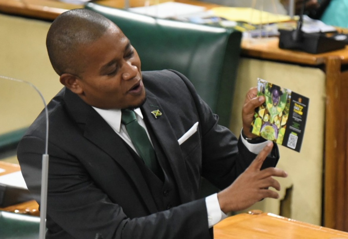 Minister of Agriculture and Fisheries, Hon. Floyd Green, making his contribution to the 2021/22 Sectoral Debate in the House of Representatives on May 12.

