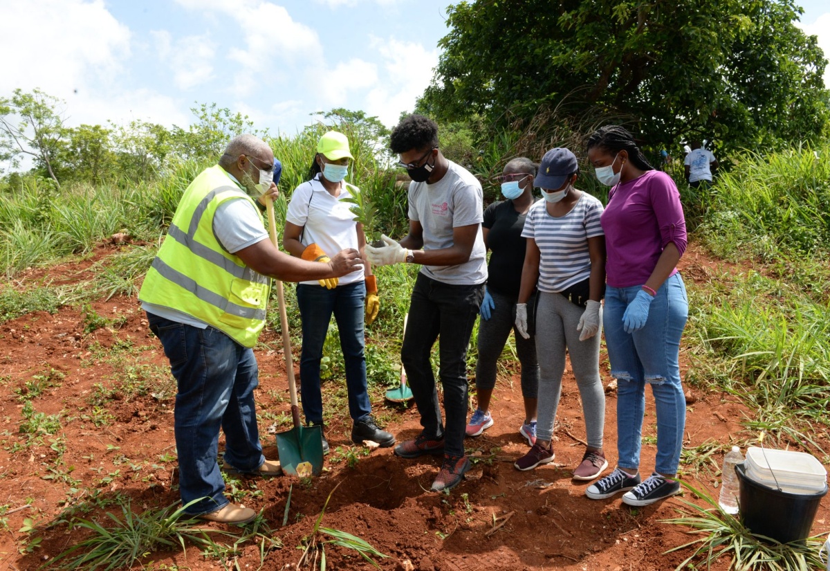 Residents Of Hope Village Thankful For Replenishment Of Fruit Orchard