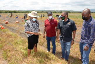 Minister of Agriculture and Fisheries, Hon. Floyd Green (third left), examines onions being displayed by Deputy Farm Manager at the St. Catherine-based Model Agricultural Production Limited, Princess Lee (left), during a tour of the farm in Innswood, on June 2. Sharing the moment (from left) are Chief Executive Officer of the Rural Agricultural Development Authority (RADA), Peter Thompson, and Chief Technical Director in the Ministry, Courtney Cole.