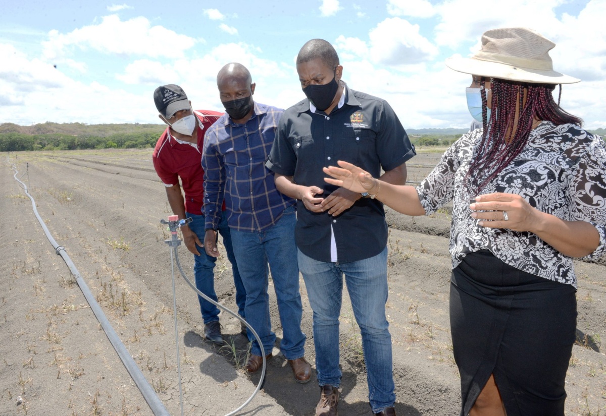 Company Lauded For Investing US$2.5 Million In Agriculture