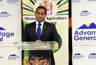 Agriculture and Fisheries Minister, Hon. Floyd Green, speaks at the virtual launch of the Fisherfolk and Farmers General Insurance Package, being provided by Advantage General Insurance in collaboration with the Ministry of Agriculture and Fisheries, on June 22.

