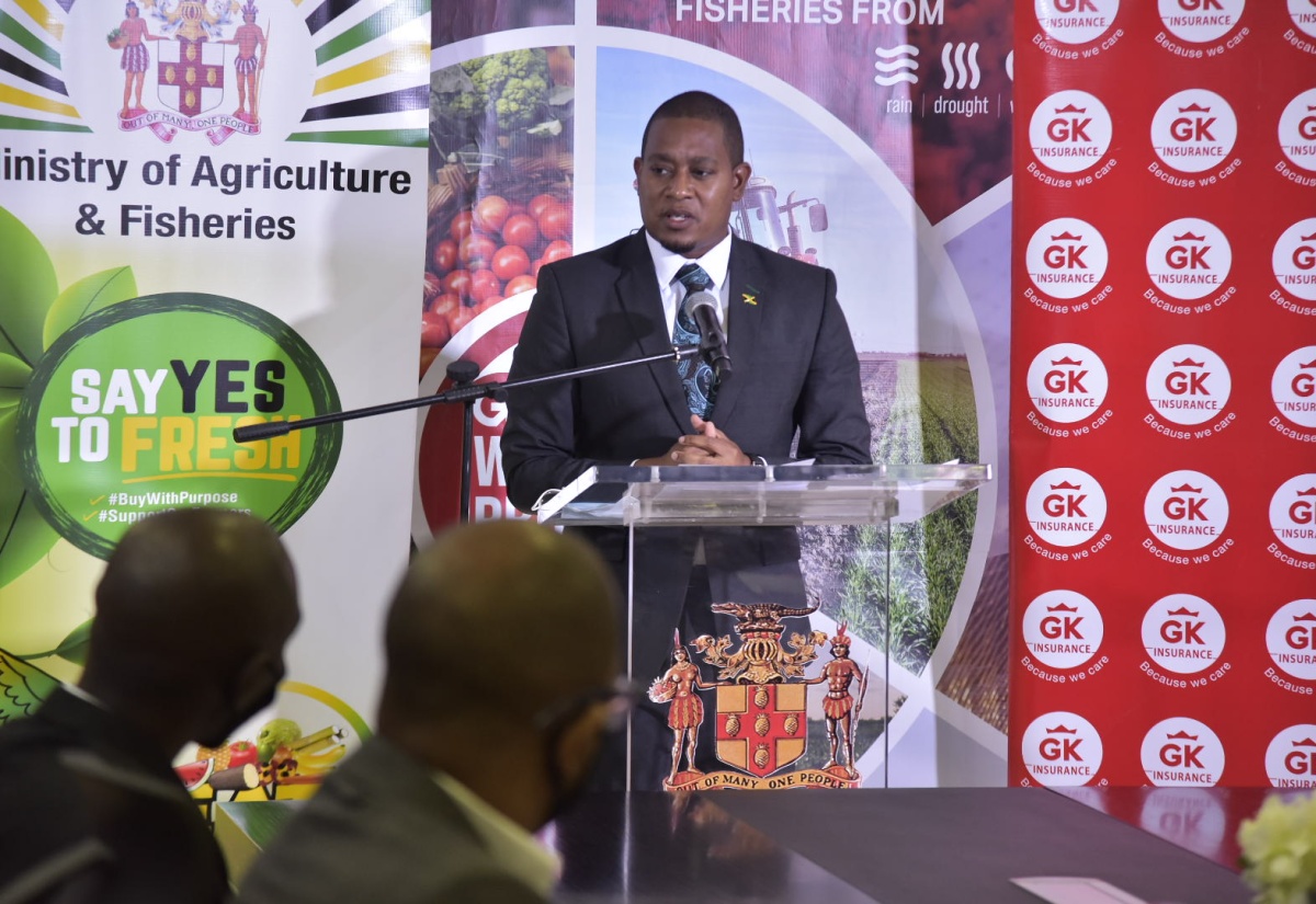 Minister of Agriculture and Fisheries, Hon. Floyd Green, speaks at the virtual launch of the GraceKennedy (GK) Weather Protect insurance product on Tuesday (July 20), which was broadcast from the Ministry's Hope Gardens location in St. Andrew. The policy will provide insurance coverage for farmers and fisherfolk impacted by adverse weather events. 

