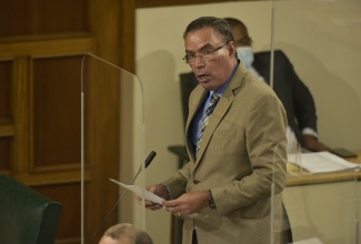 Minister of Science, Energy and Technology, Hon. Daryl Vaz addresses the House of Representatives on July 20.

