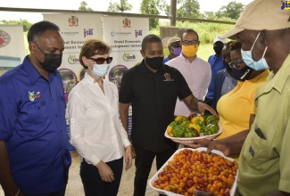 Minister of Agriculture and Fisheries, Hon. Floyd Green (third left), looks at sweet peppers and cherry tomatoes being shown to him by farmers Kerise Mighty (second right) and Charles Townsend (right), during a tour of the Greenhouse Cluster and Water Harvesting Project at Content in Williamsfield, Manchester on July 22. Also looking on (from left) are Managing Director, Jamaica Social Investment Fund (JSIF), Omar Sweeney; Country Manager, World Bank, Lilia  Burunciuc; and the World Bank's Resident Representative for Jamaica and Guyana, Ozan  Sevimli. The Content project is benefiting from support under JSIF’s Rural Economic Development Initiative (REDI II).